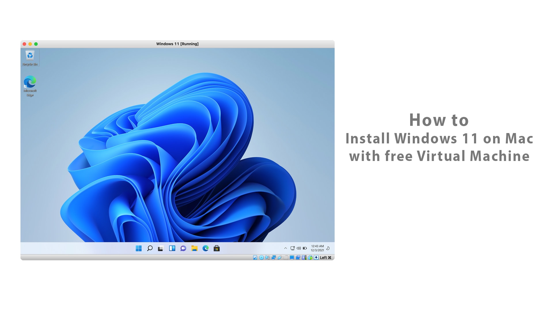 free microsoft windows for mac
